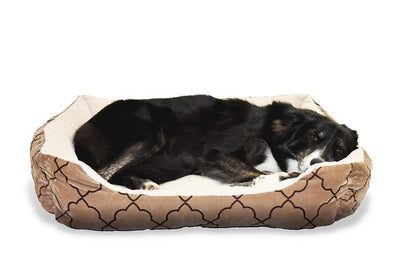 Calming pet bed mot ångest hos hund