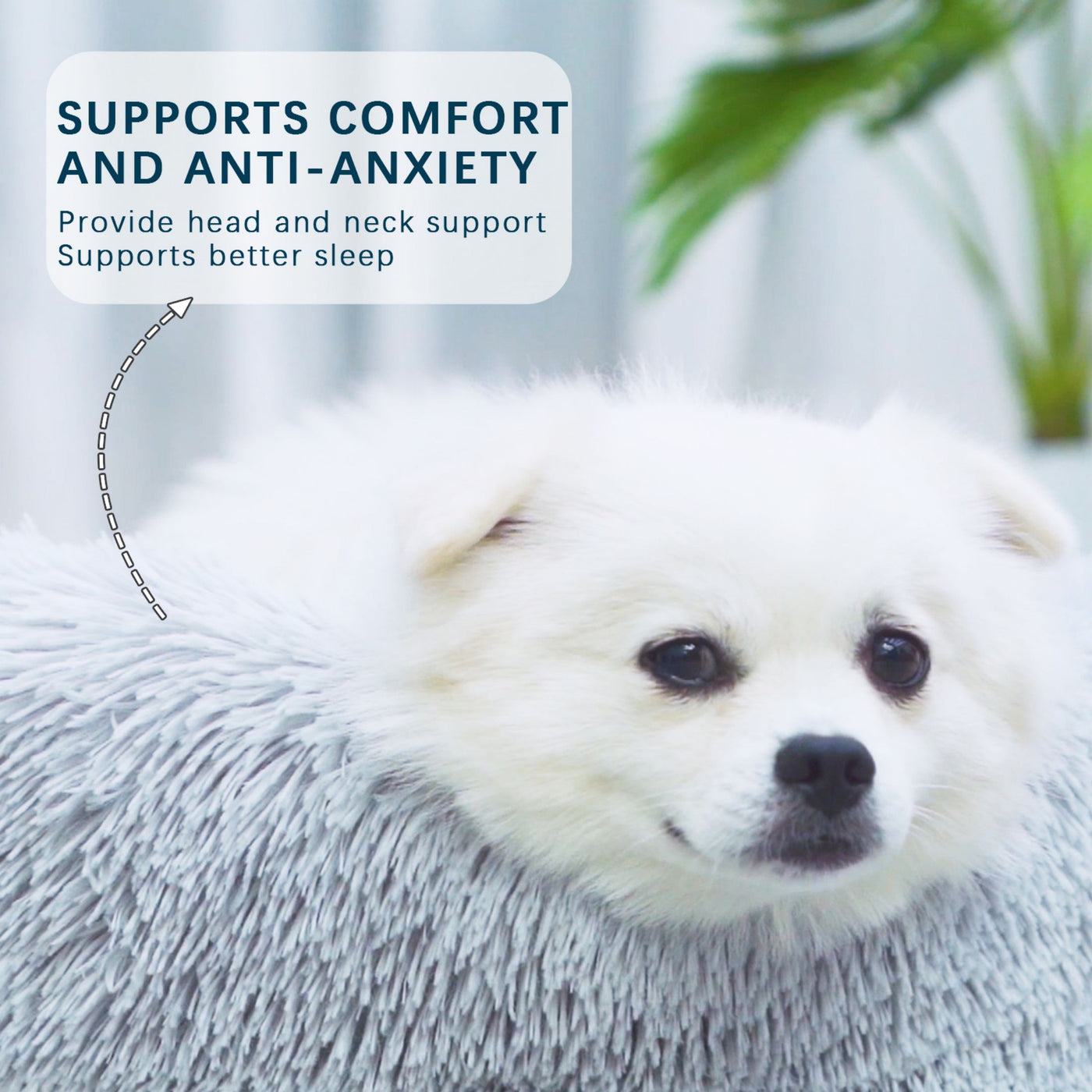 Plyschig husdjurssoffa – skapar ro och komfort för din vän