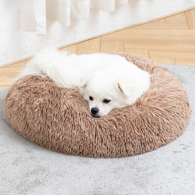 Plyschig husdjurssoffa – skapar ro och komfort för din vän